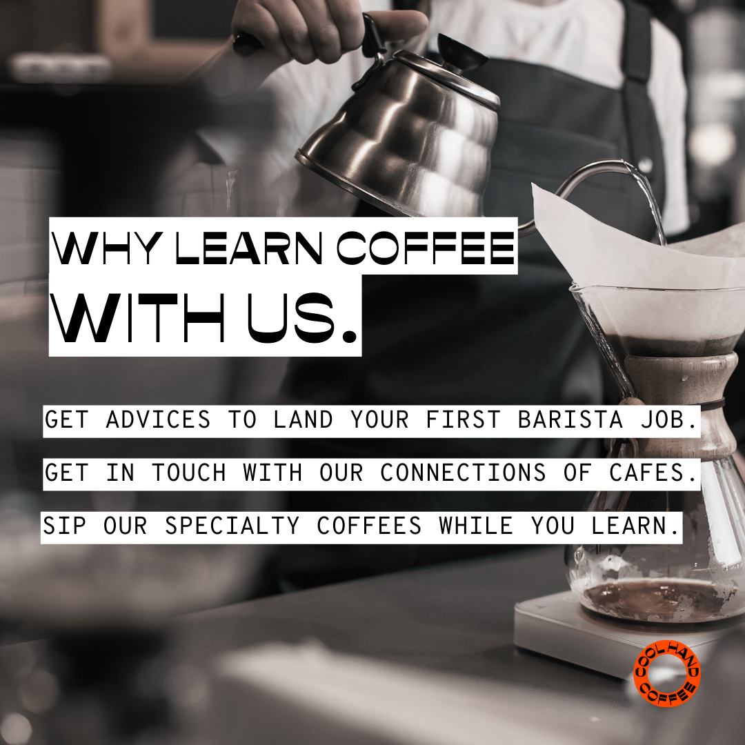 Basic Barista Class Cool Hand Coffee Melbourne (Limited Time Only)